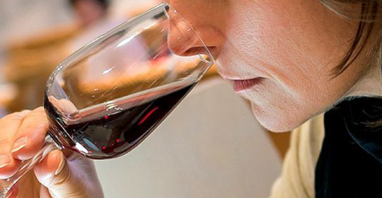 initiation vin découverte vin