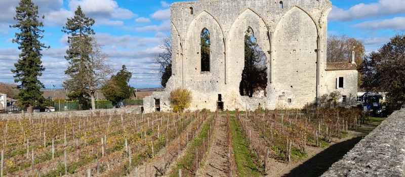 Saint Emilion Saint Emilion